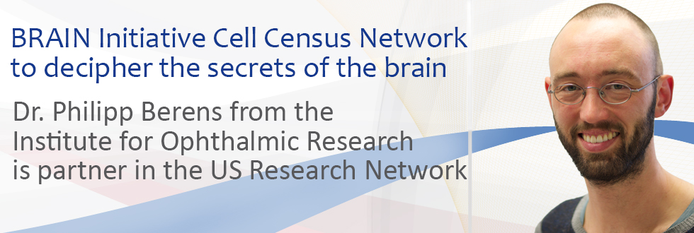 Fia newsslider brains berens partner 2017