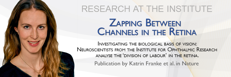 Katrin Franke: Zapping between Channels in the Retina
